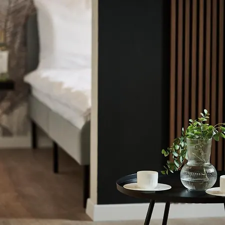 The House Near & Old Town *